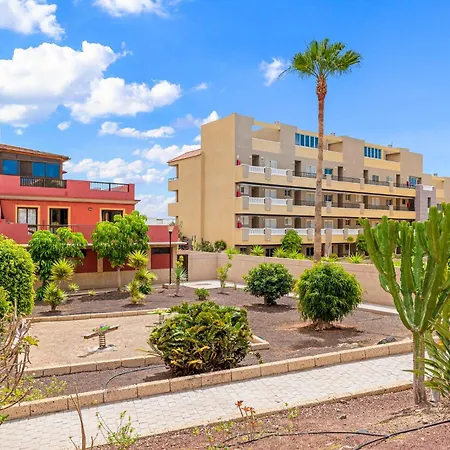 Apartment Medano4you The Terrace *